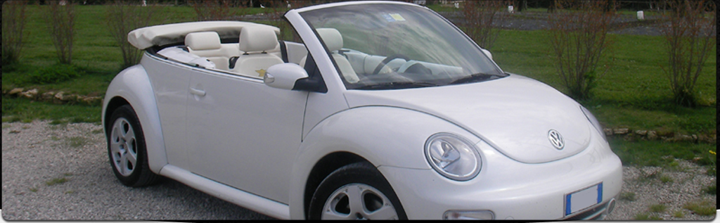 Slideshow Image 8